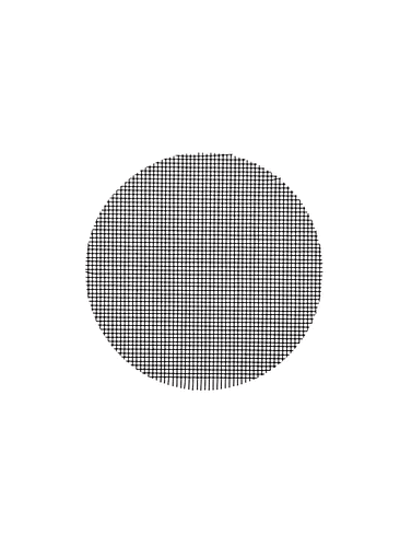 TITANIUM SCREEN GRADO 1 19MM 5 UD-BONGLAB 2