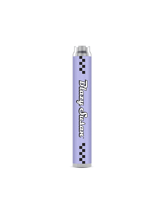 BATERÍA PEN PURPLE-BLAZY SUSAN 1