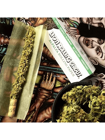 PAPELILLOS KING SIZE ALFALFA-LION ROLLING CIRCUS 1