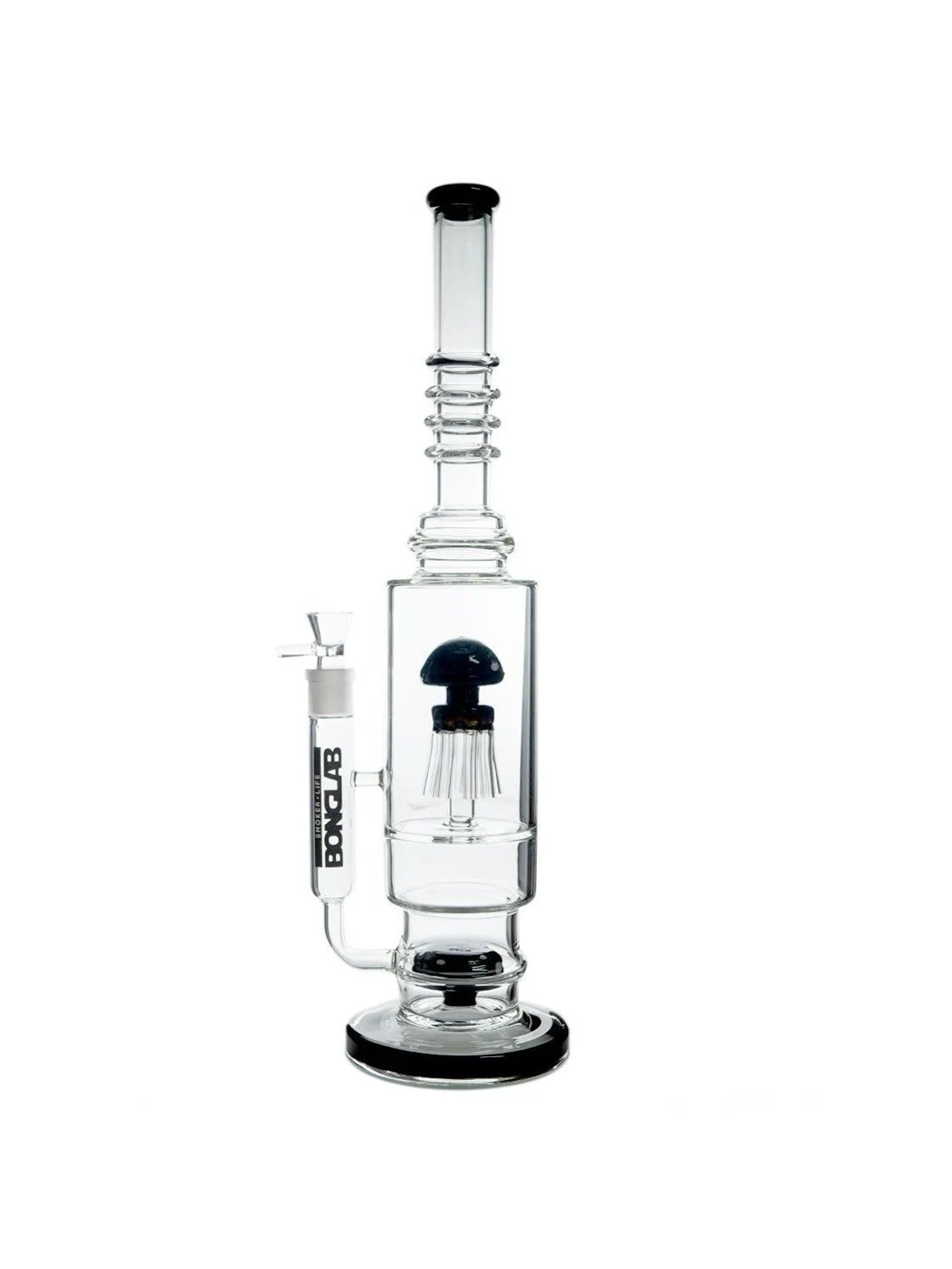 Jelly Fish-Bonglab 1