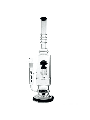 JELLY FISH BLACK-BONGLAB 1