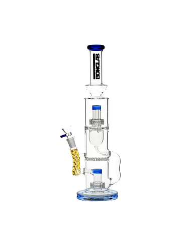 THE SHEIKH BLUE-BONGLAB 2