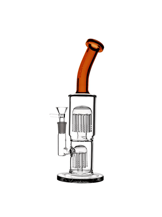 CLASSY AMBER-BONGLAB 1