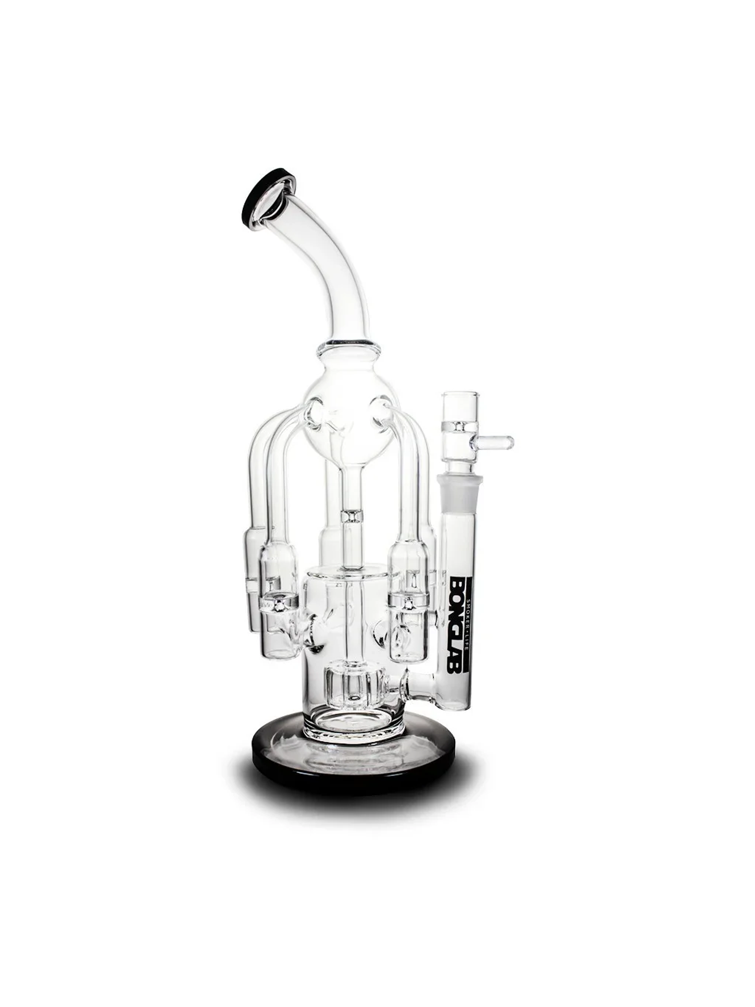 Medusa Black-Bonglab 1