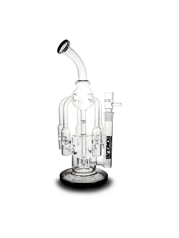 Medusa Black-Bonglab 1