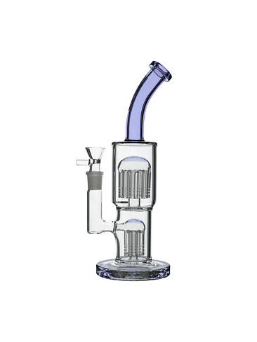 CLASSY PURPLE-BONGLAB 1