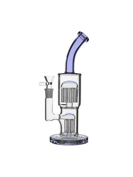 CLASSY PURPLE-BONGLAB 1