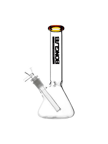 LITTLE BUCHNER AMBER-BONGLAB 1