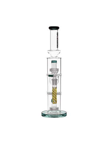 THE SHEIKH TEAL-BONGLAB 2