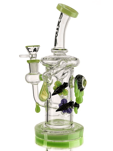BEE RECYCLER-CALVO GLASS 1