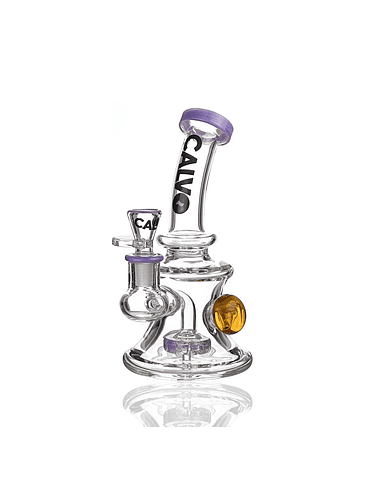 RIG DRAGON BALL Z PURPLE-CALVO GLASS 3