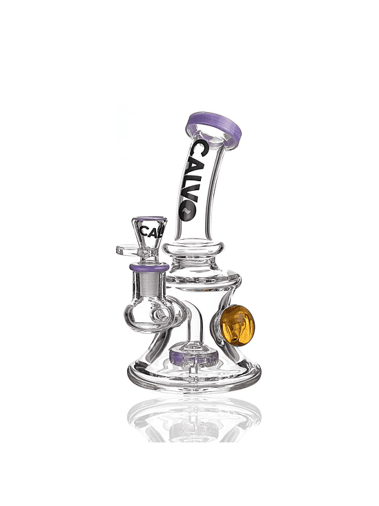 RIG DRAGON BALL Z PURPLE-CALVO GLASS 3