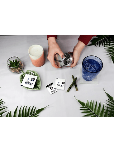 REGULADOR DE HUMEDAD 8G 69%-INTEGRA BOOST 2