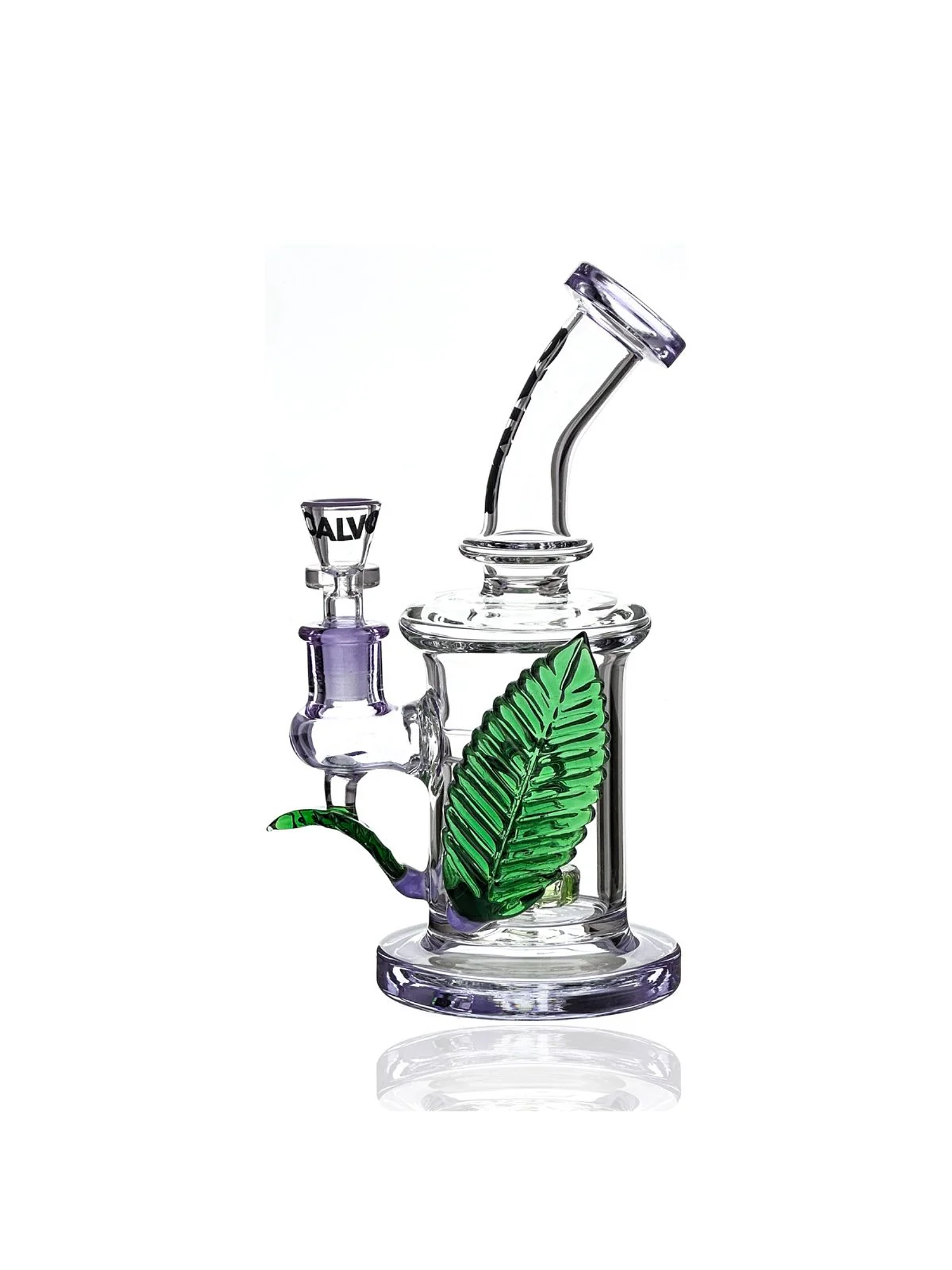 Rig Big Leaf-Calvo Glass 1