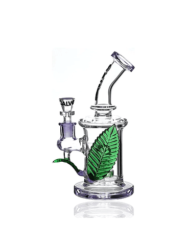 RIG BIG LEAF-CALVO GLASS 1