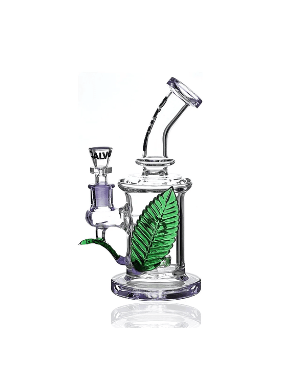 RIG BIG LEAF-CALVO GLASS 1