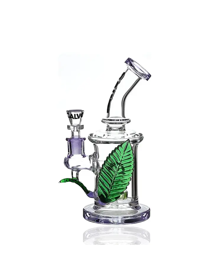 Rig Big Leaf-Calvo Glass 1