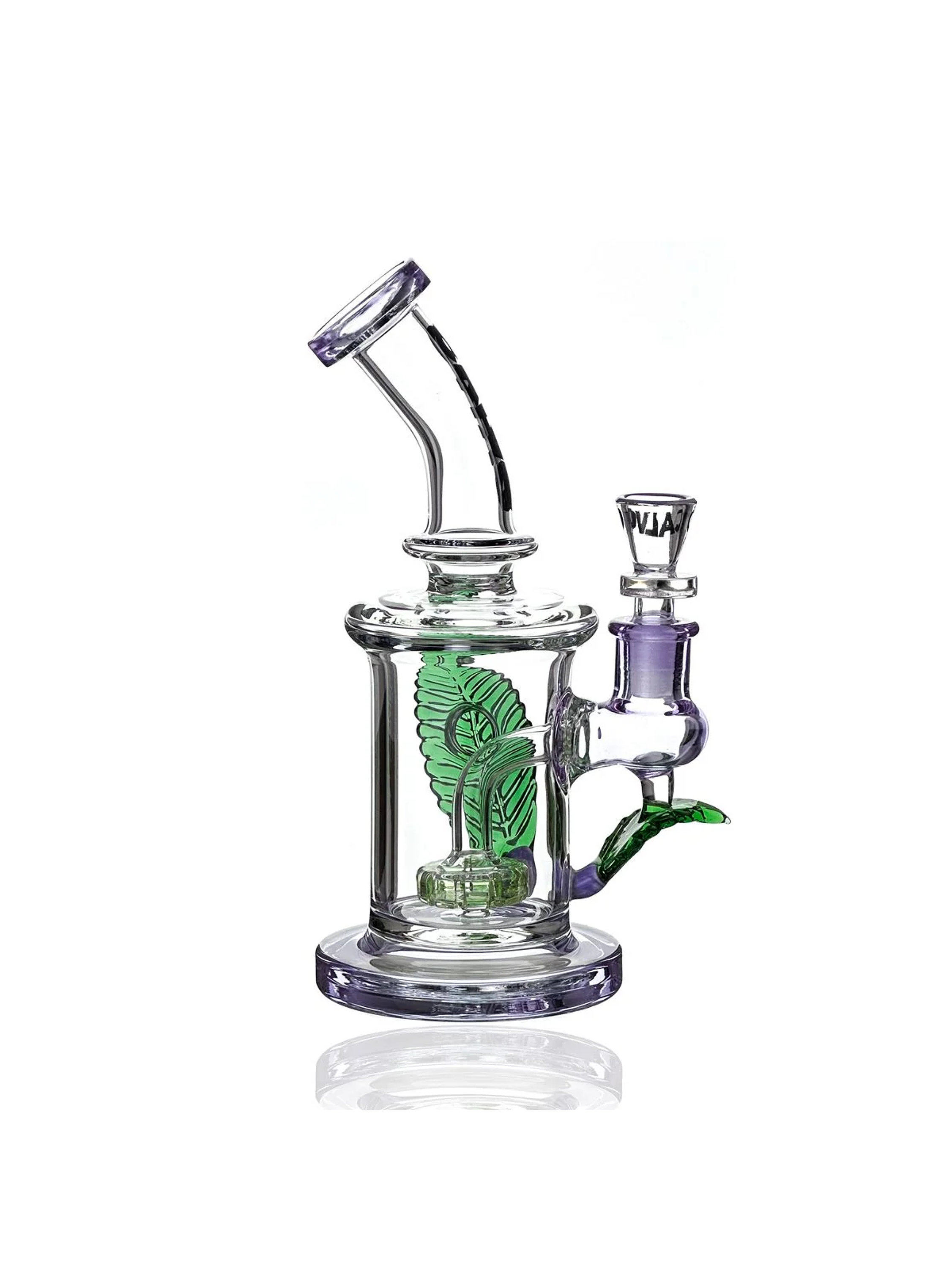 Rig Big Leaf-Calvo Glass 2
