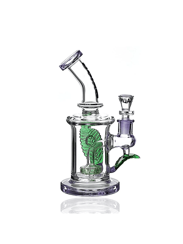 RIG BIG LEAF-CALVO GLASS 2