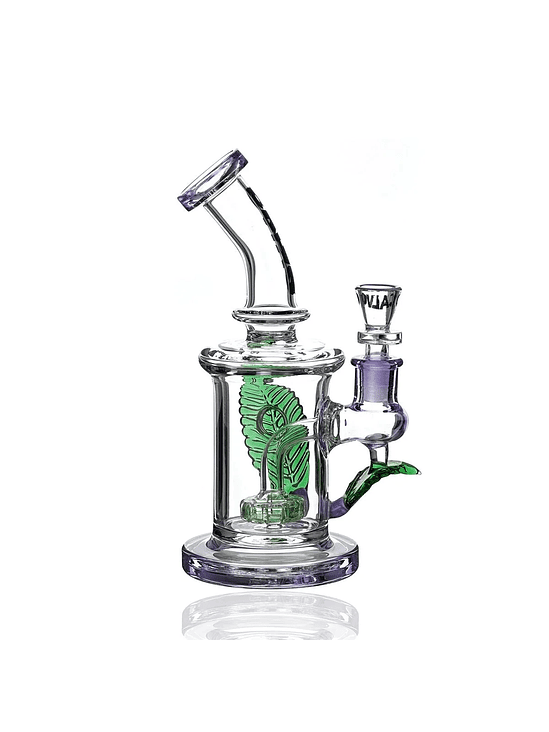 RIG BIG LEAF-CALVO GLASS 2