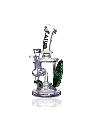 RIG BIG LEAF-CALVO GLASS 3