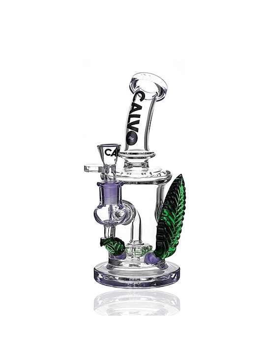 RIG BIG LEAF-CALVO GLASS 3