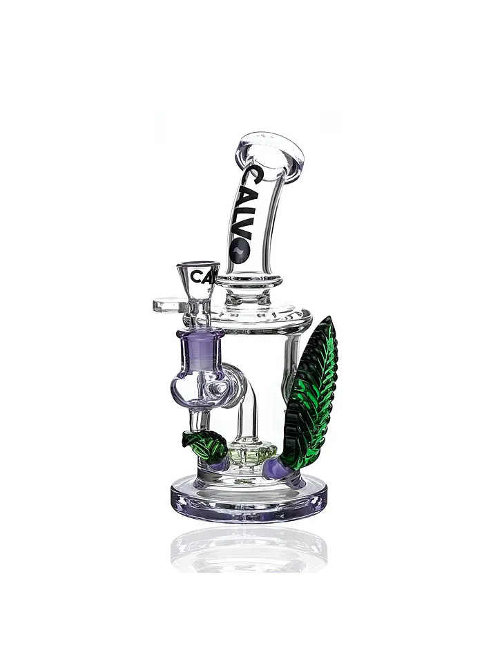 Rig Big Leaf-Calvo Glass 3