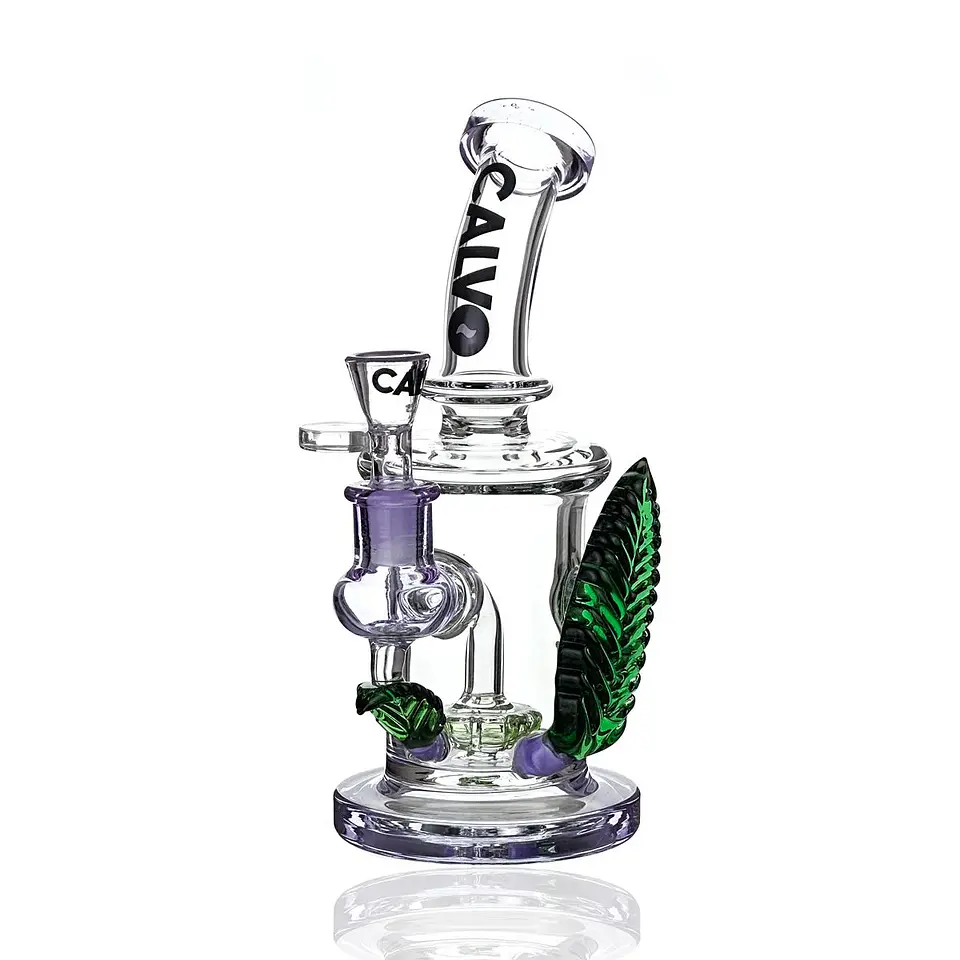 Rig Big Leaf-Calvo Glass 3