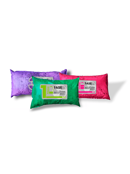 RKTR 120 RECARGA CO2-REAKTOR 1