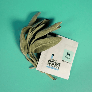 Regulador De Humedad Con Terpeno Pinene 4G 62%-Integra Boost