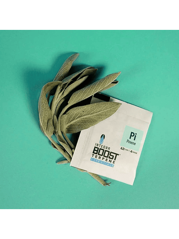 REGULADOR DE HUMEDAD CON TERPENO PINENE 4G 62%-INTEGRA BOOST 1