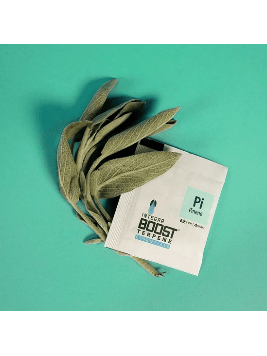 REGULADOR DE HUMEDAD CON TERPENO PINENE 4G 62%-INTEGRA BOOST 1