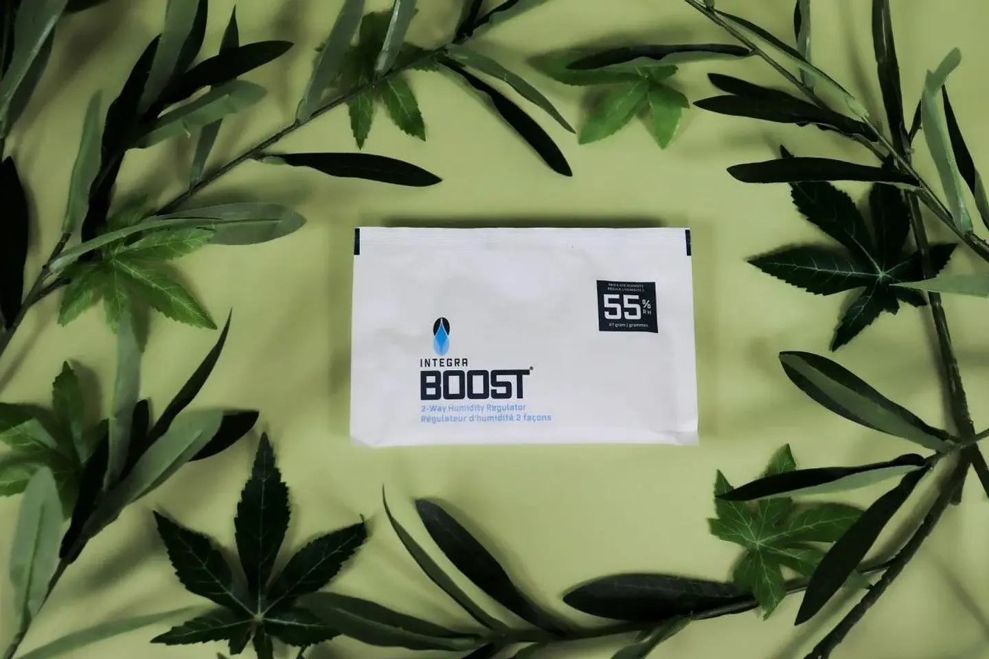 Regulador De Humedad 67G -Integra Boost 2