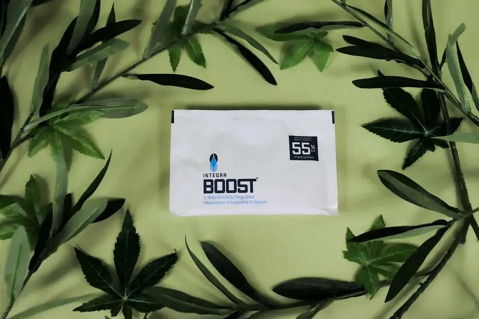 Regulador De Humedad 67G -Integra Boost 2