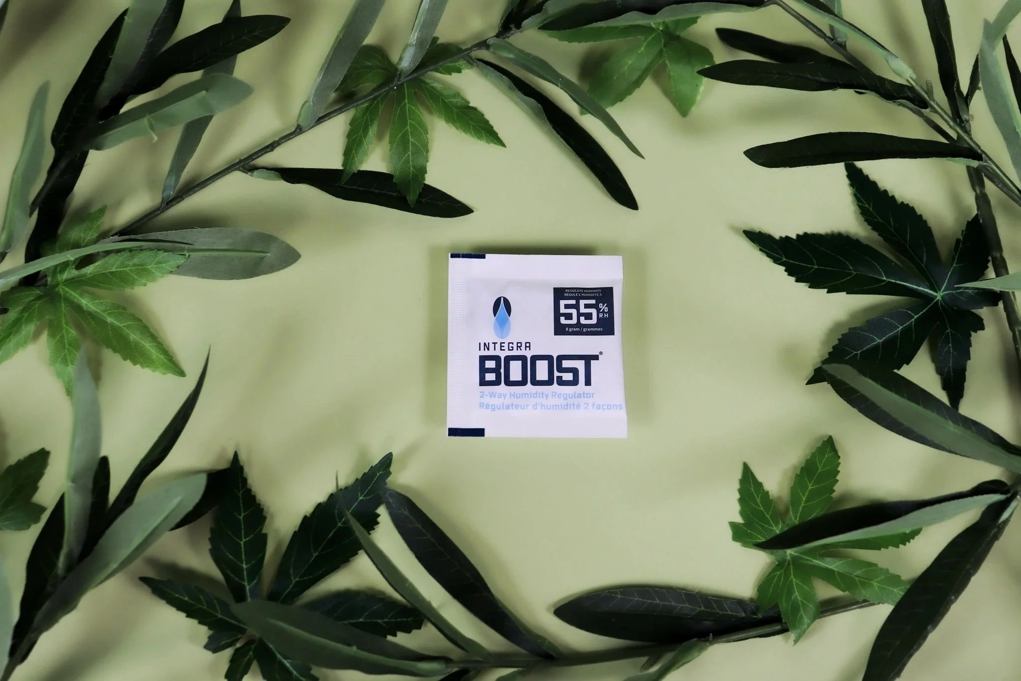 Regulador De Humedad 8G -Integra Boost 3