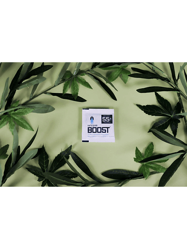 REGULADOR DE HUMEDAD 8G 55%-INTEGRA BOOST 3