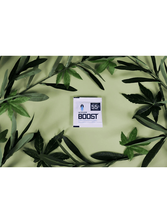 REGULADOR DE HUMEDAD 8G 55%-INTEGRA BOOST 3