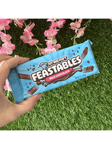 MILK CHOCOLATE BAR 60GR-MR. BEAST 2