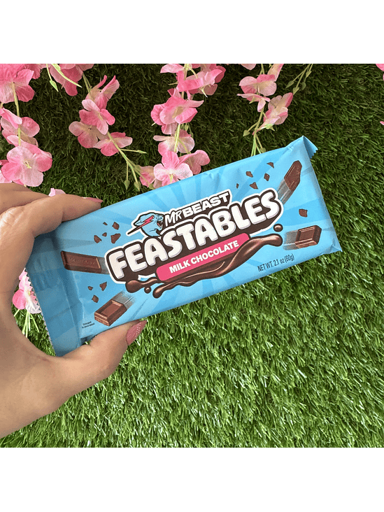 MILK CHOCOLATE BAR 60GR-MR. BEAST 2