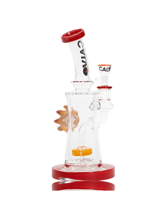 RIG EYE SUN ORANGE-CALVO GLASS 1