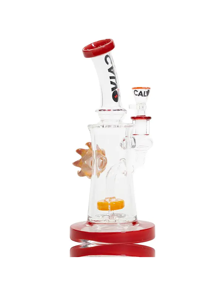 Rig Eye Sun Orange-Calvo Glass 1