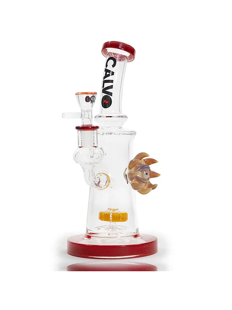 Rig Eye Sun Orange-Calvo Glass 3