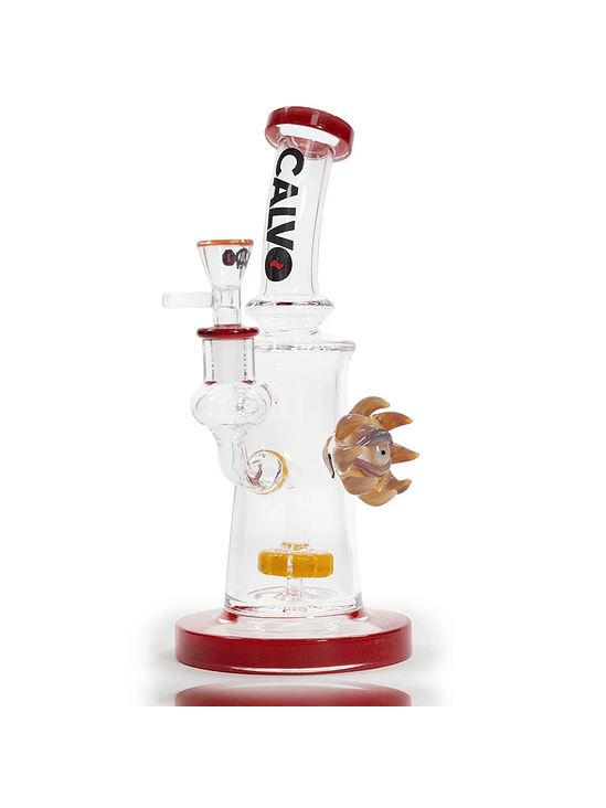 RIG EYE SUN ORANGE-CALVO GLASS 3