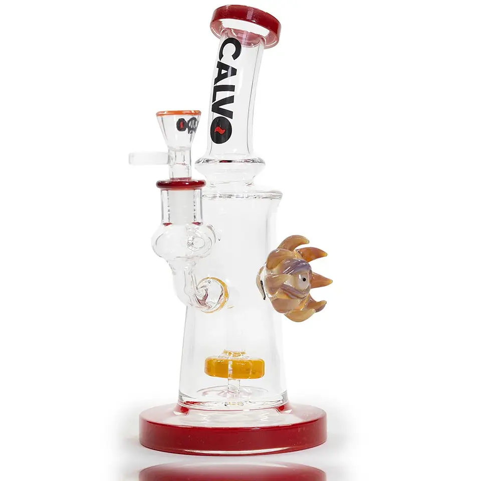 Rig Eye Sun Orange-Calvo Glass 3