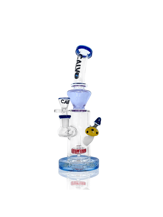 DOUBLE FUNGUS RIG COLOR BLUE-CALVO GLASS 1