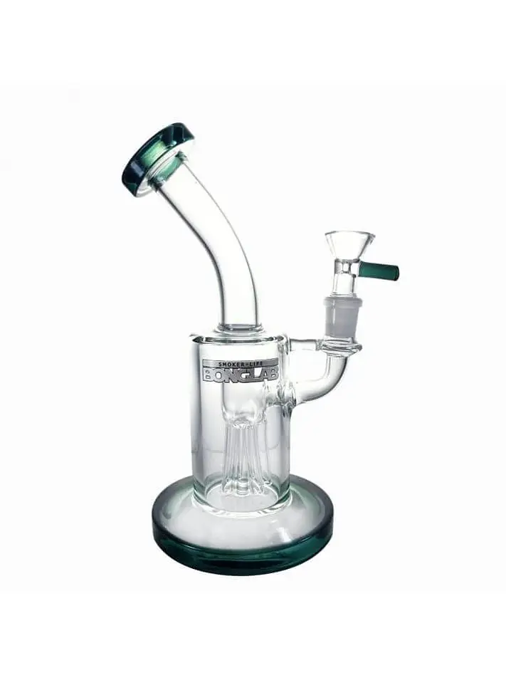 Dream Rig X4 -Bonglab 1