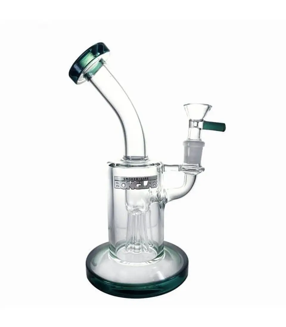Dream Rig X4 -Bonglab 1