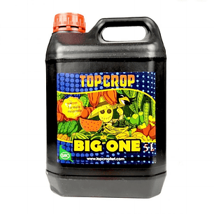 BIG ONE 5LT-TOP CROP