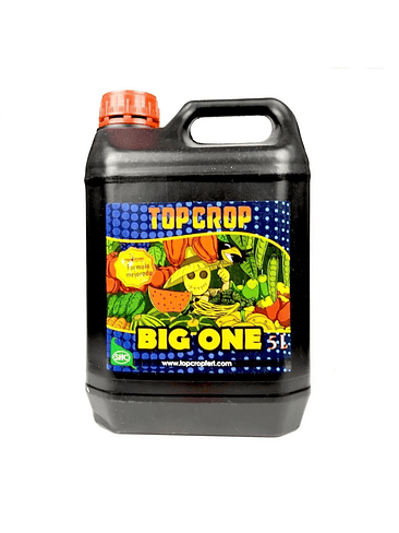 BIG ONE 5LT-TOP CROP 1