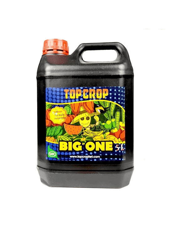 BIG ONE 5LT-TOP CROP 1